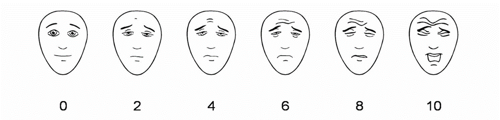The faces Pain Scale